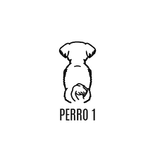 Perro 1