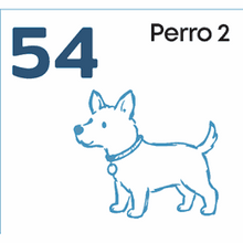 54 Perro 2