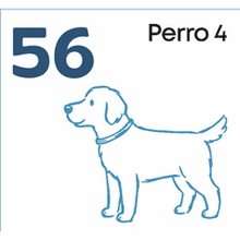 56 Perro 4